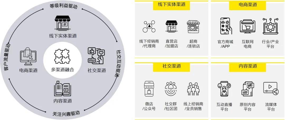 最新人口普查方式，数字化时代的创新手段