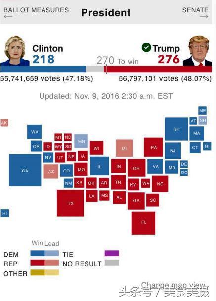 美国选举票数最新统计，揭示大选走向与民意心声