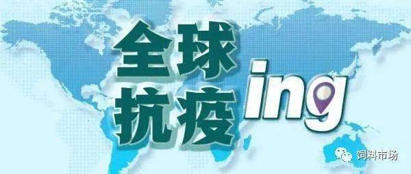 新冠疫情实时最新动态，全球视角下的疫情进展与应对策略