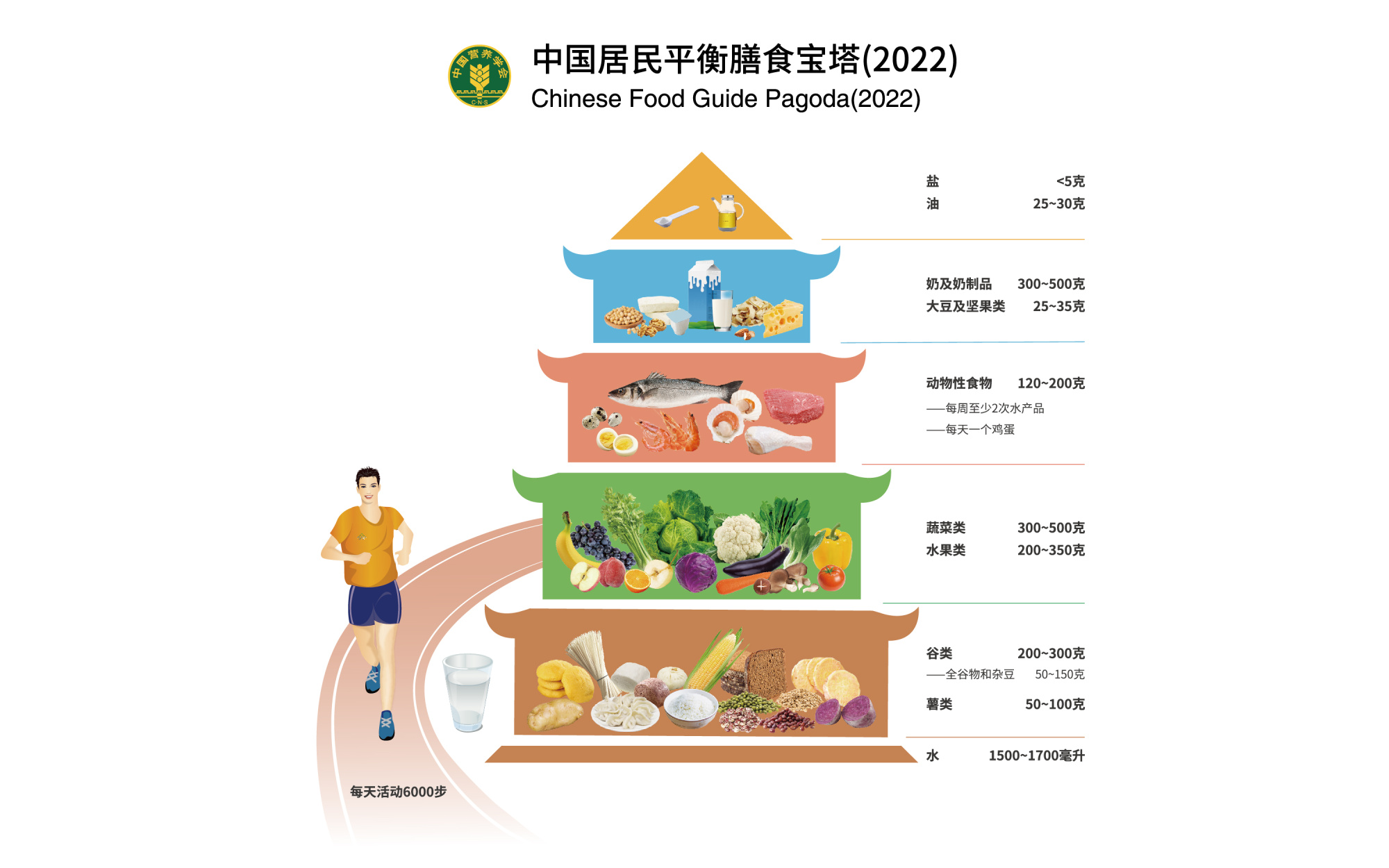 最新居民膳食指南，构建健康饮食新篇章