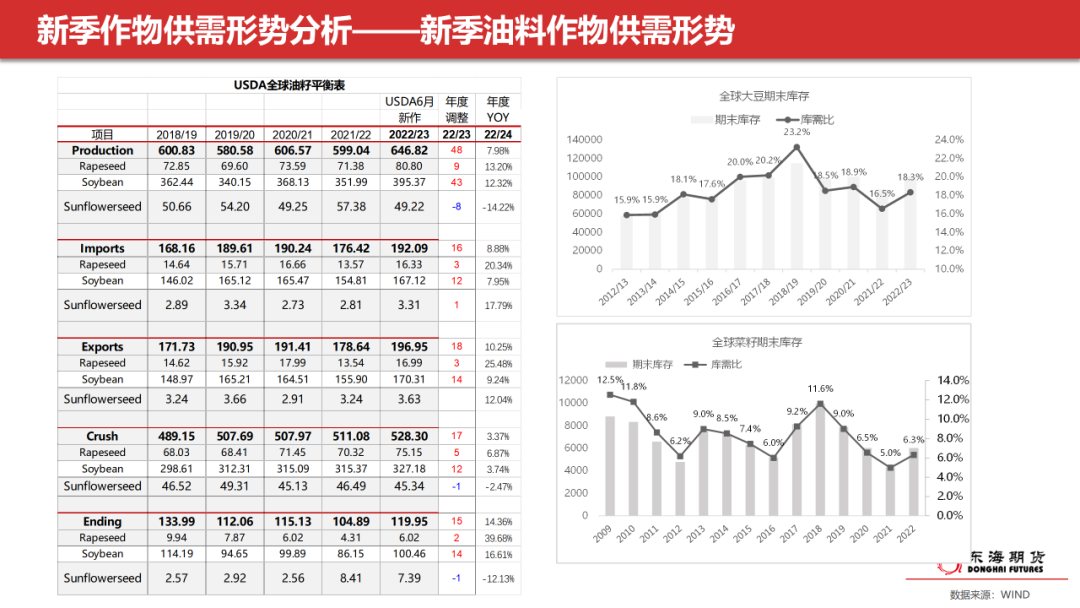 全球粮食危机最新发布消息，挑战与应对策略