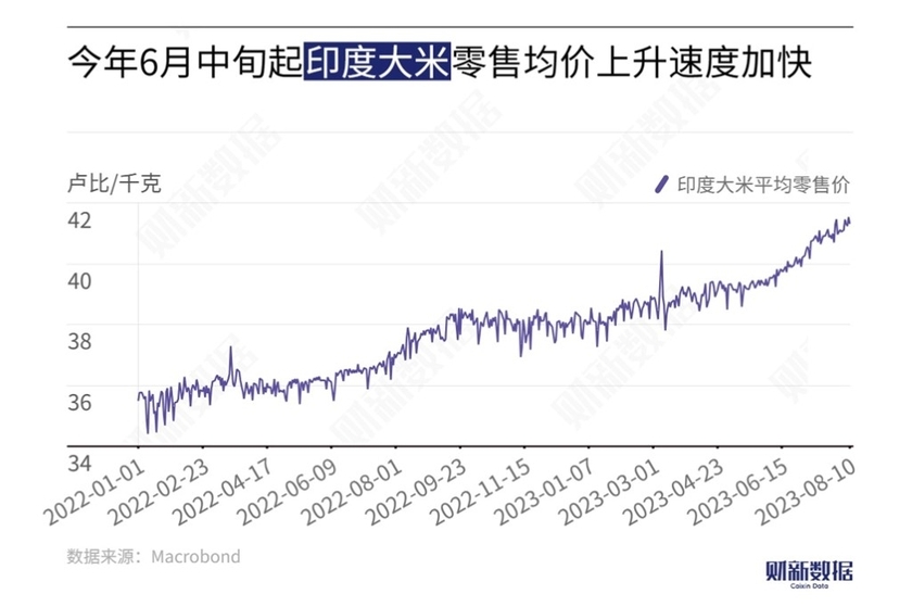 拜登最新支持率，多维度的分析与解读