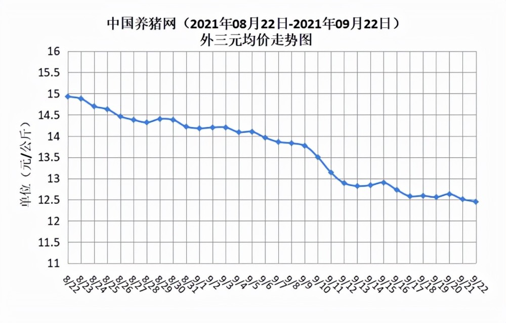 猪肉价格最新今日价，市场动态、影响因素及未来趋势分析