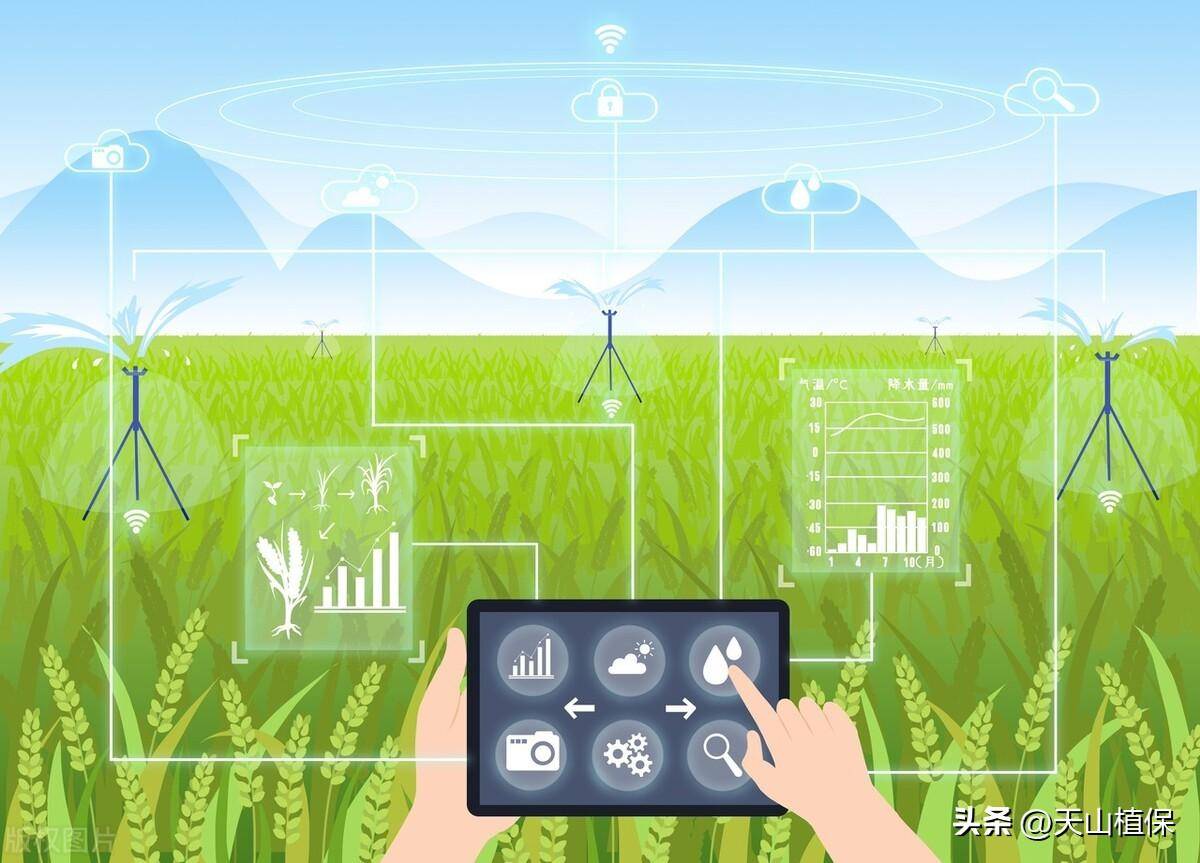 数字农业最新消息及其影响