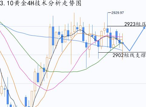 美金外汇最新消息，市场走势分析与预测