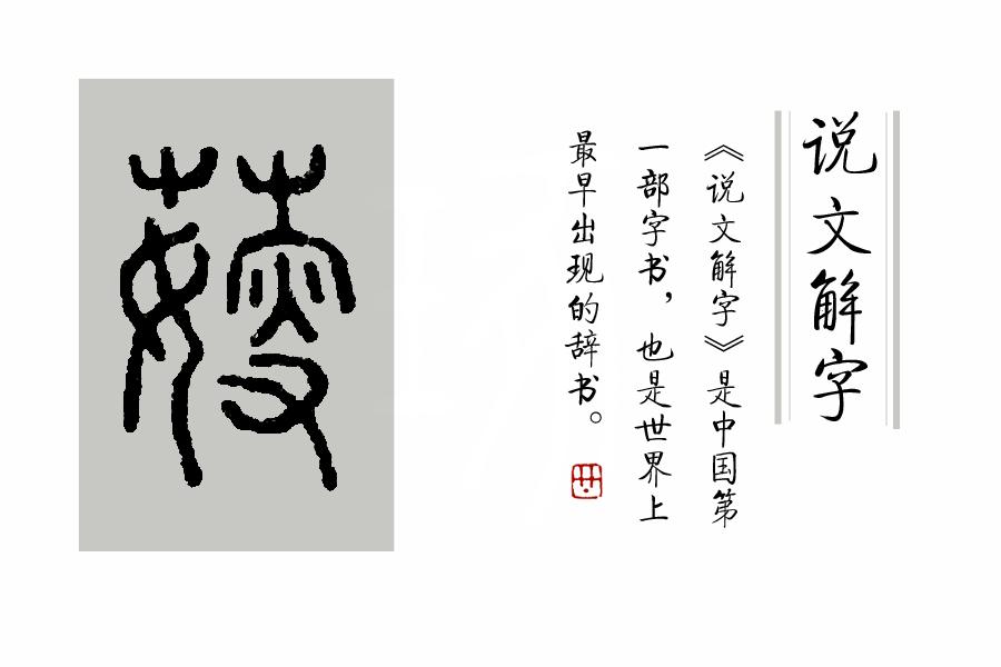 最新草打一字——探寻汉字的奥秘与魅力