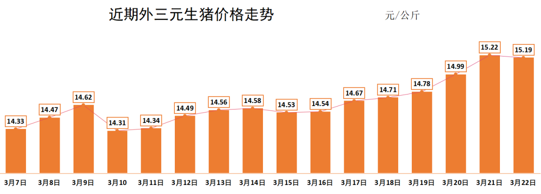 最新一周猪价走势分析