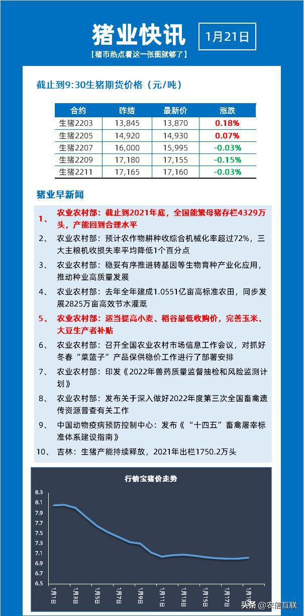 最新玉米价格动态分析