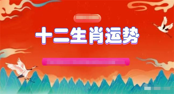 揭秘澳门准确一肖一码内幕资料，全面释义与解释落实的探讨