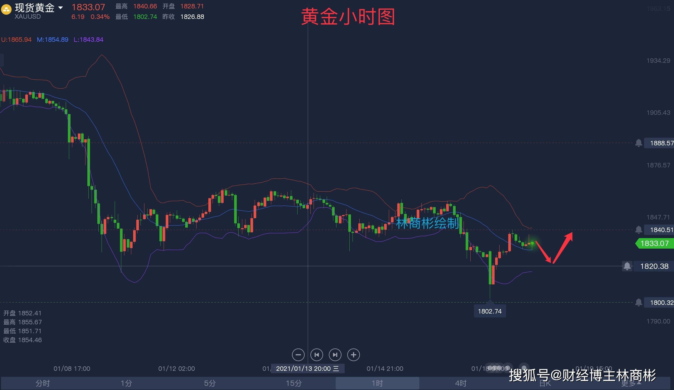 纸黄金行情最新分析，市场趋势与投资建议