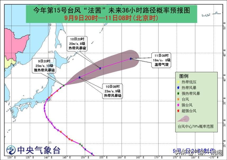 南海最新胚胎91w，探索与观测